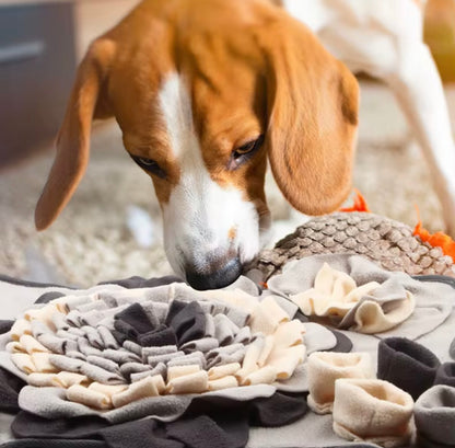 Sensoryczna mata węchowa PupiSensoric